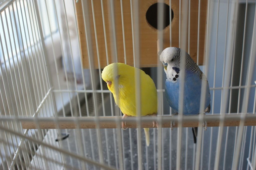 Foyer des Prés Loveresse