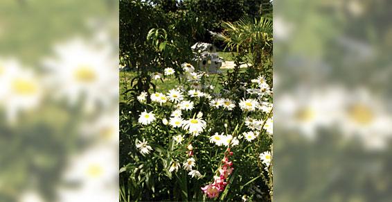 paysagistes - decoration florale