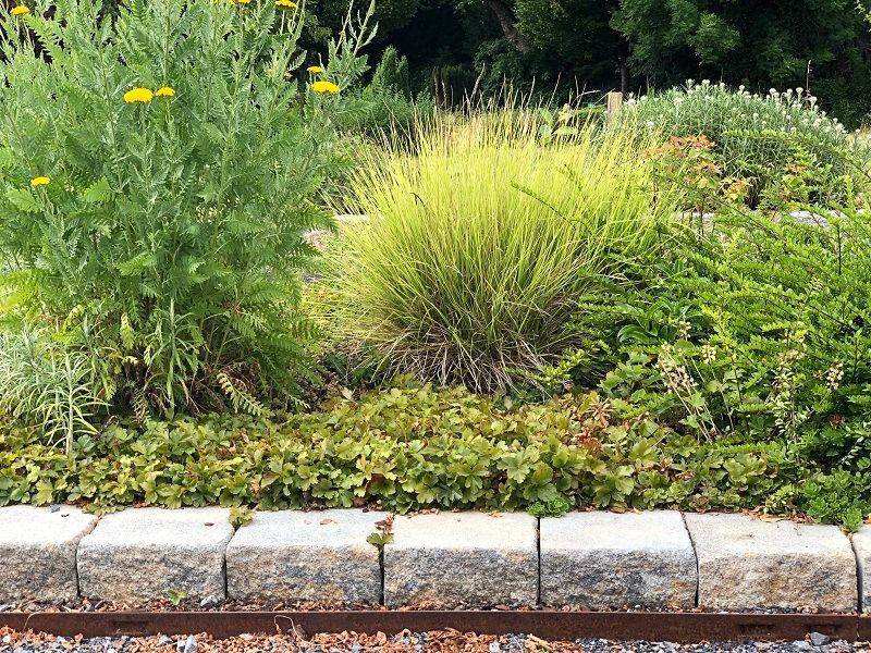 Moderne Gartenpflege Beet