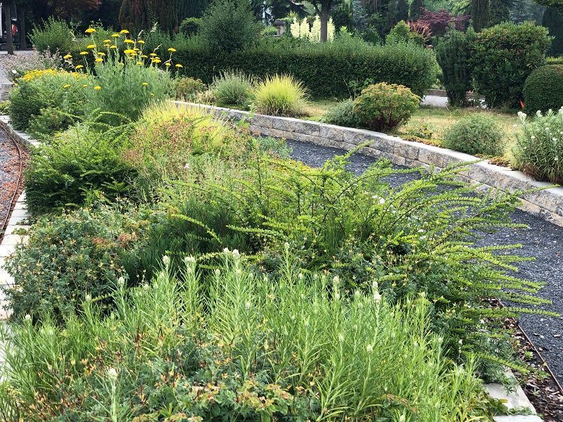 Moderne Gartenpflege Beet