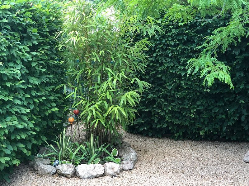 Elegante Gartenpflege