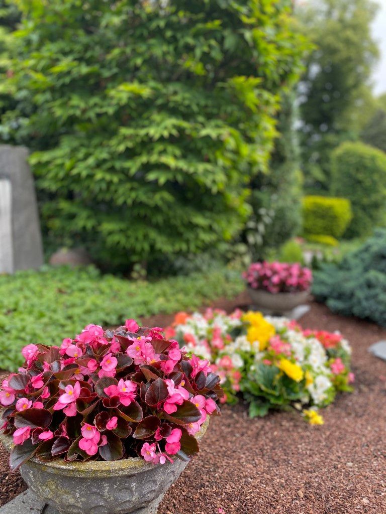 alt-Friedhofsgärtnerei Koeth