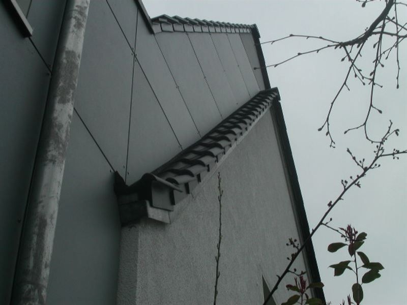 Blick nach oben auf ein Gebäude mit einem Ast im Vordergrund