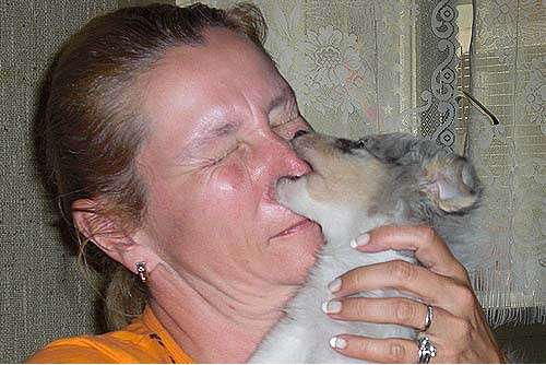 Hundeschule zum Steinbruch