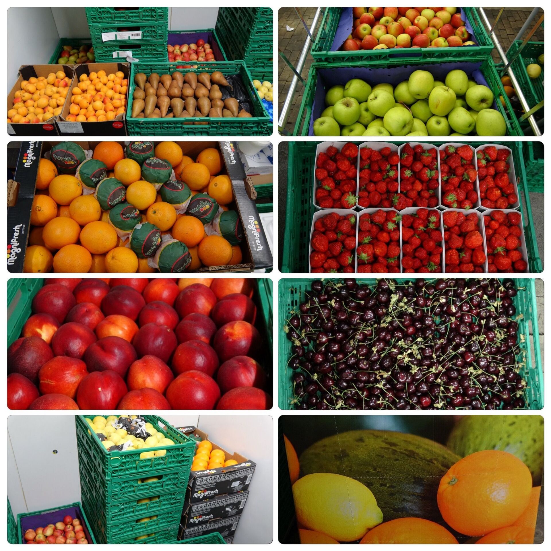 Früchte, Gemüse und Tiefkühlprodukte bei Roos