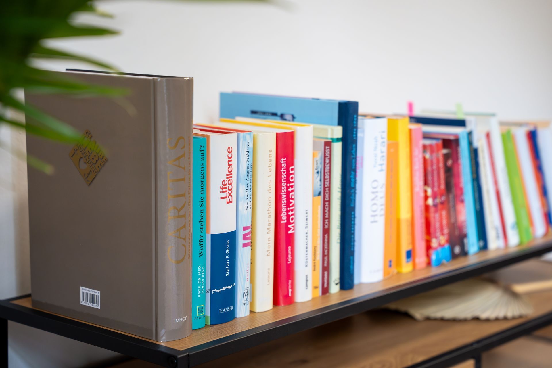 Kinder essen an einem Tisch in einem hell erleuchteten Raum. Ein Kind hebt aufgeregt die Hand.