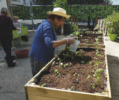 Personne âgée qui fait du jardinage
