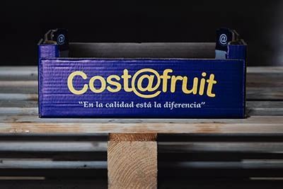 Blue “Cost@fruit” sign on a wooden stand with the tagline “En la calidad está la diferencia”