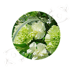 Bouquet de fleurs, Brumath