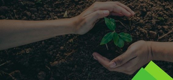 Manos sosteniendo una pequeña planta en la tierra, con hojas verdes, simbolizando el cuidado y el crecimiento.