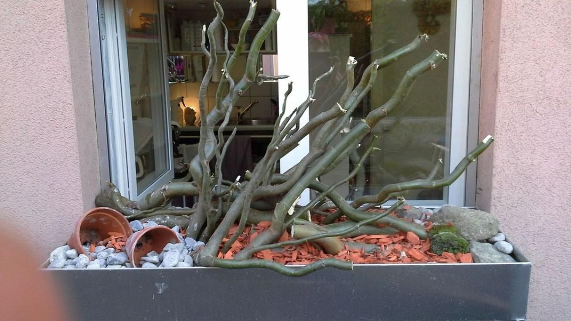Une jardinière remplie de branches et de pierres devant une fenêtre
