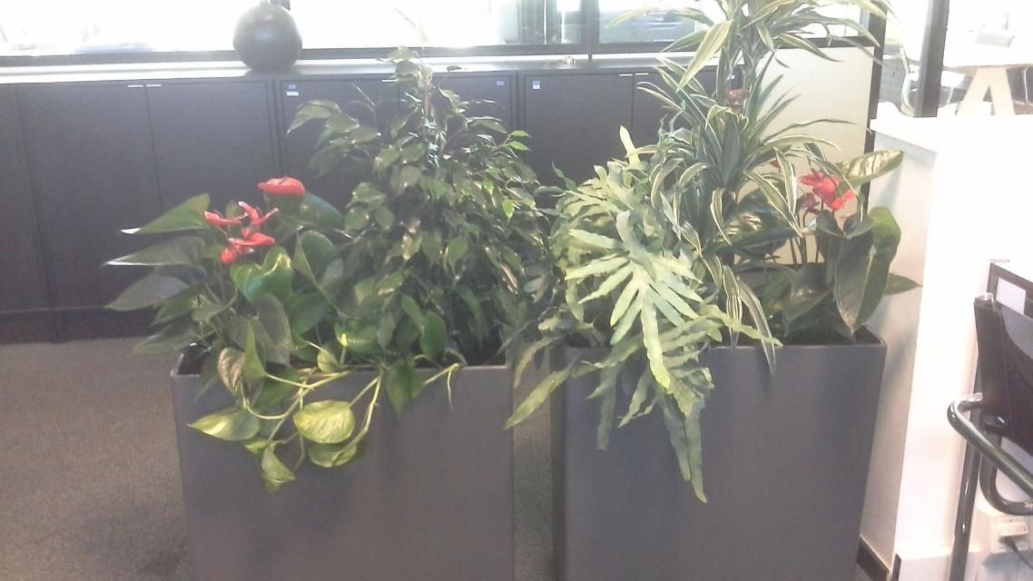 Quelques jardinières remplies de plantes et de fleurs dans une pièce.