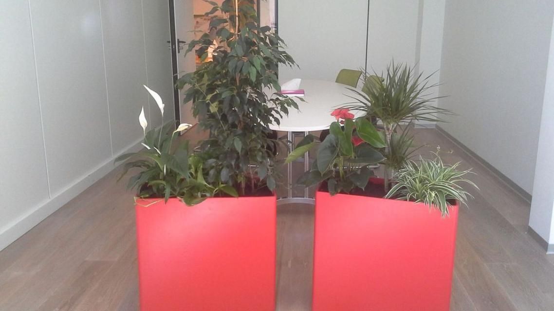 Deux jardinières rouges remplies de plantes se trouvent dans une pièce à côté d'une table.
