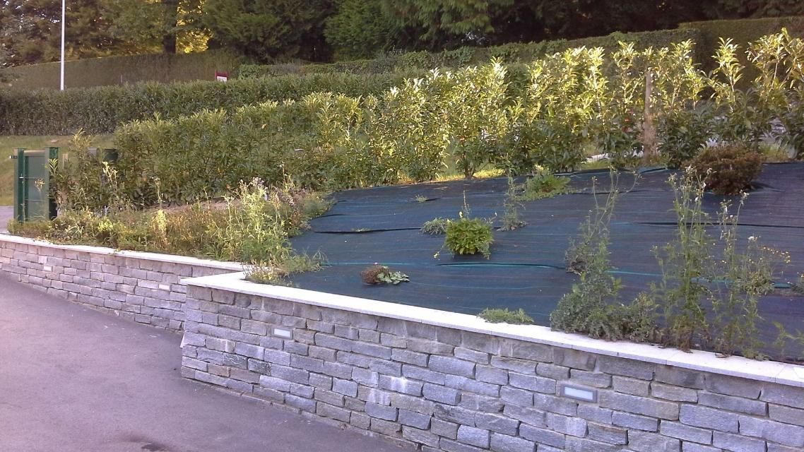 Un mur de pierre entoure un champ vert luxuriant.