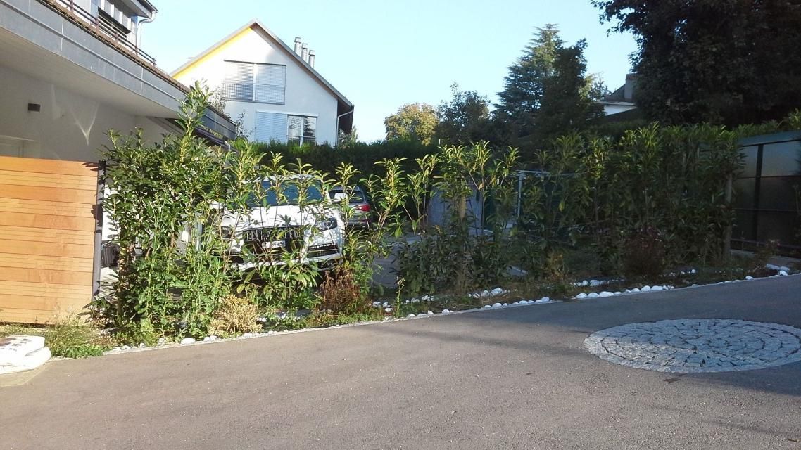 Une voiture est garée dans une allée à côté d'une haie.