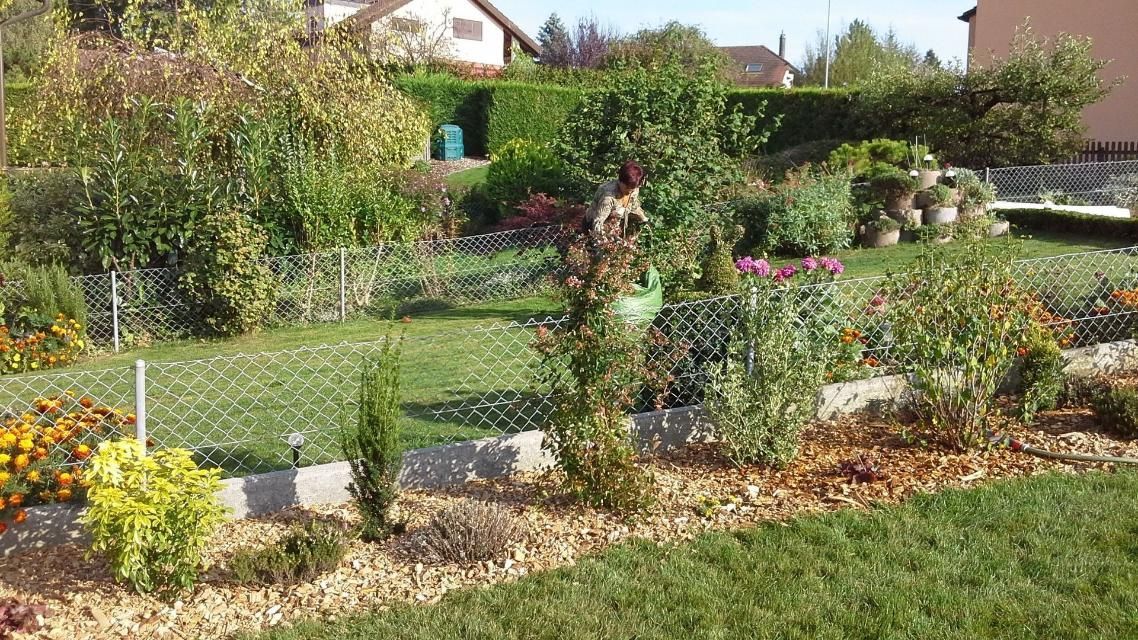 Un jardin verdoyant et luxuriant rempli de nombreuses plantes et fleurs.