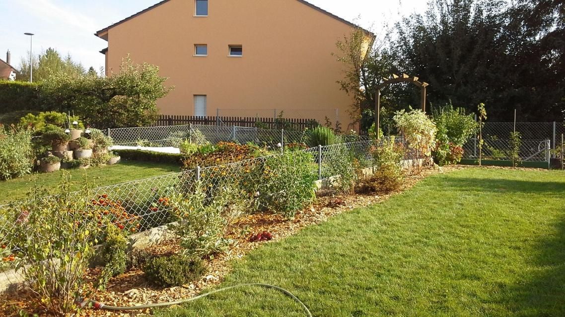 Une cour verdoyante avec une maison en arrière-plan