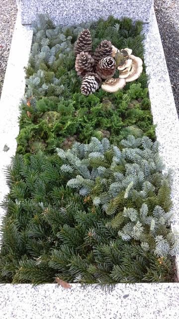 Une tombe couverte de beaucoup de verdure et de pommes de pin.