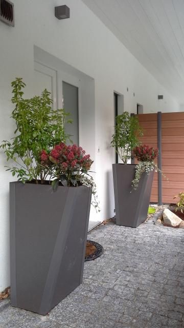 Deux plantes en pot sont posées sur un trottoir devant un bâtiment.