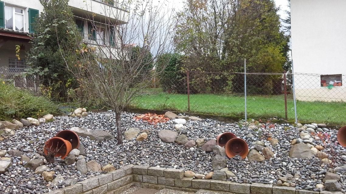 Un jardin avec beaucoup de rochers et une maison en arrière-plan.
