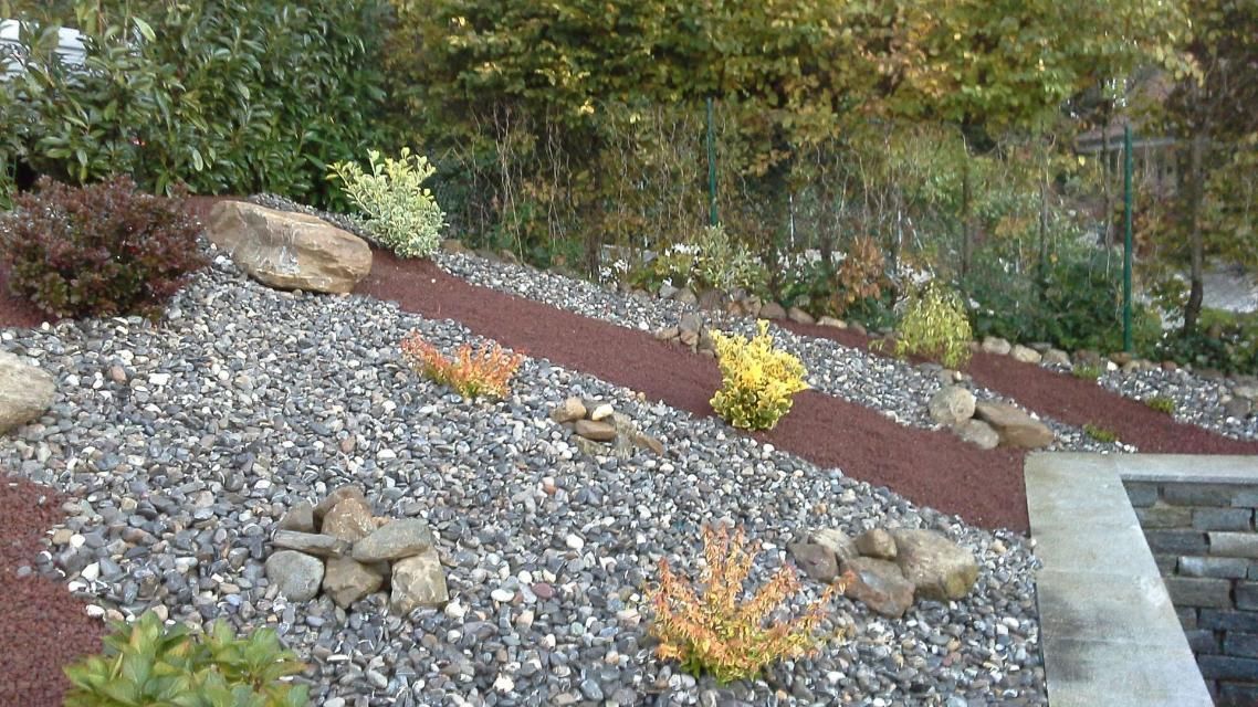 Un jardin rempli de rochers et de plantes avec un étang en arrière-plan.