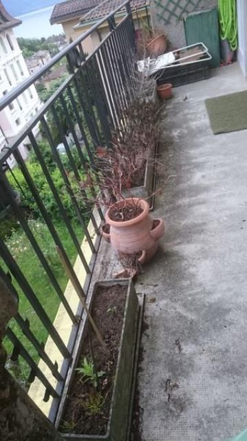 Un balcon avec une balustrade et des plantes en pot dessus.