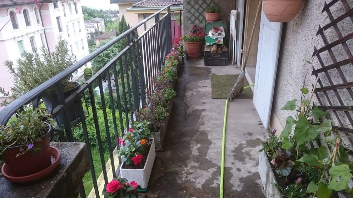 Un balcon rempli de plantes en pot et d'un tuyau d'arrosage.
