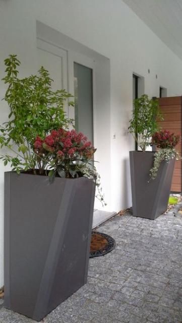 Quelques jardinières remplies de plantes sont posées sur un trottoir devant une porte.