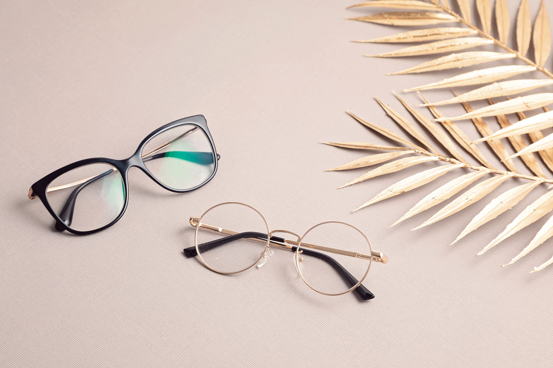 Présentation de 2 paires de lunettes de vue avec des feuilles de palmier.