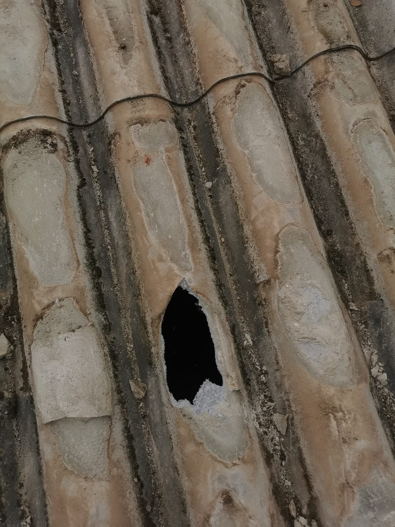 Dépannage de fuite de toiture