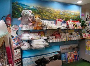Una tienda llena de muchos animales de peluche y almohadas.