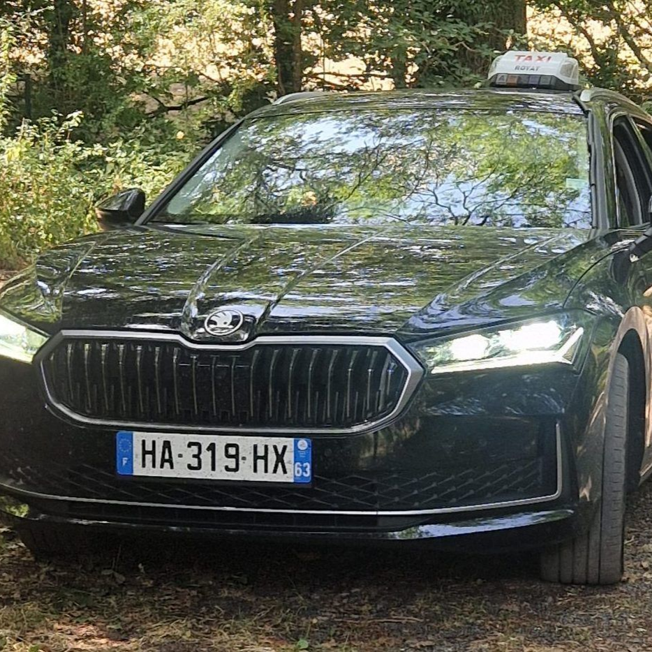Un taxi noir avec un lumineux de taxi est stationné dans une zone boisée.