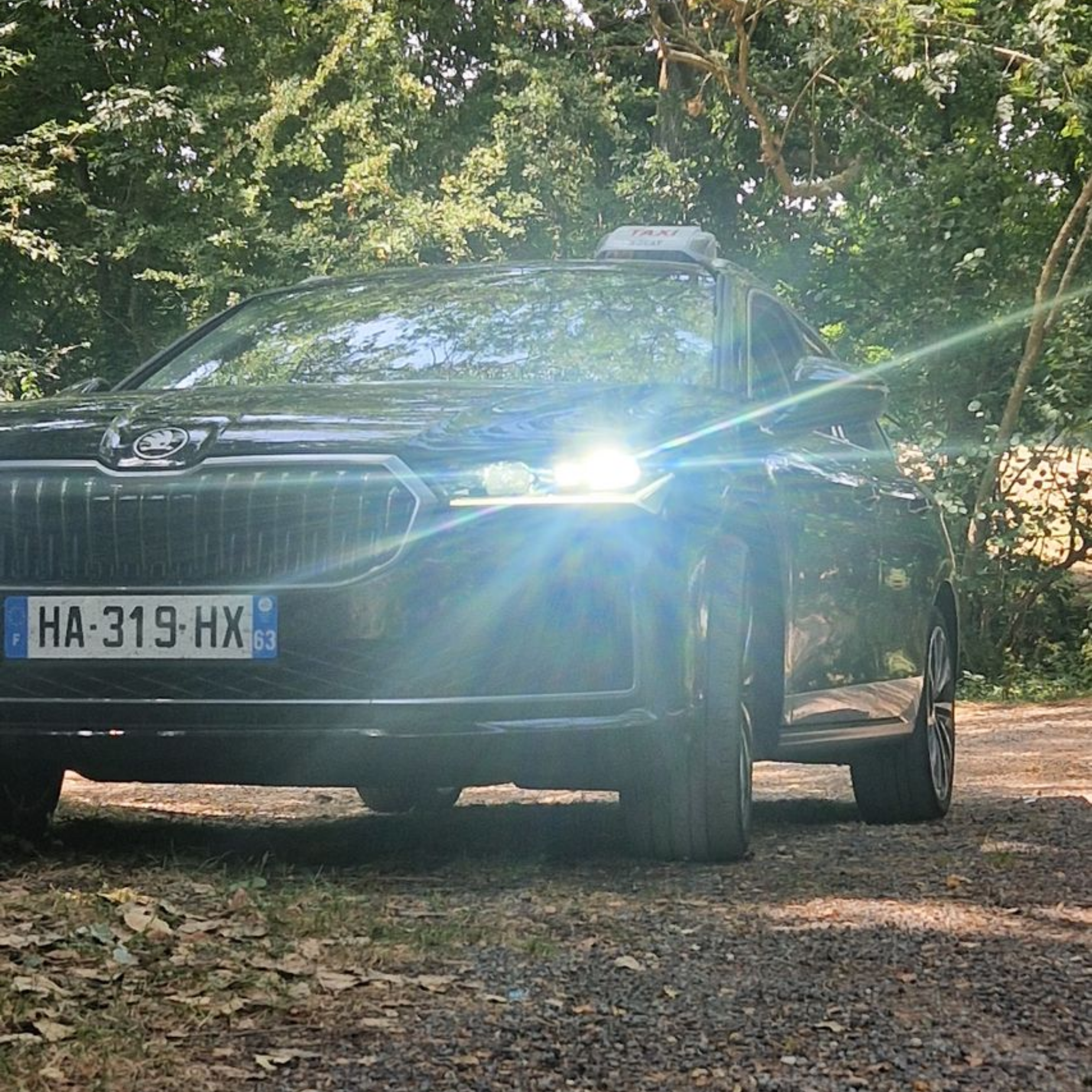 Voiture noire avec un lumineux de taxi, garée dans une zone boisée.
