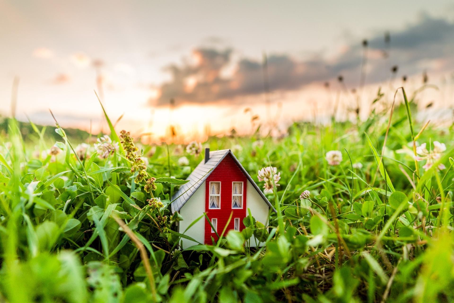 Miniaturhaus  eingebettet in hohes grünes Gras vor dem Hintergrund eines Sonnenuntergangshimmels.