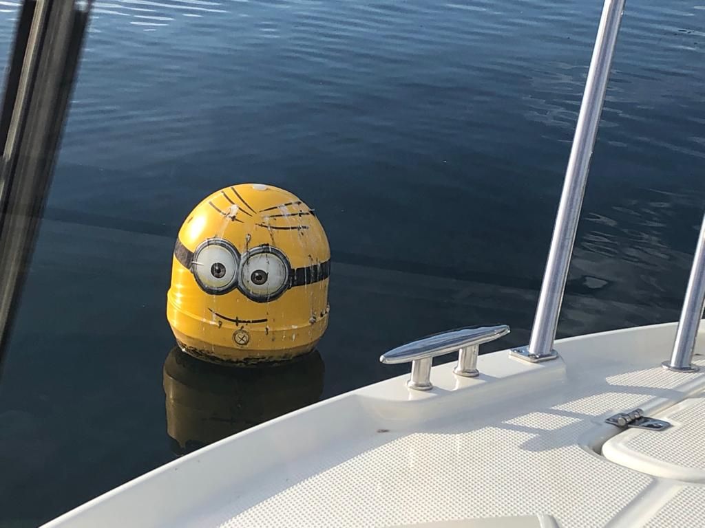 Bootsfahrschule ZÜRICH, ST. GALLEN, SCHWYZ - Obersee Bootsfahrschule in Schmerikon