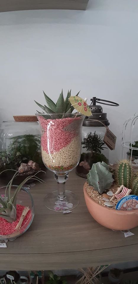 Plantes succulentes dans un verre à vin réutilisé, gravier rose et beige, avec d'autres petits cactus dans une boutique.