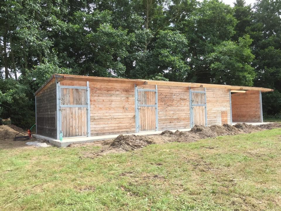Box de chevaux