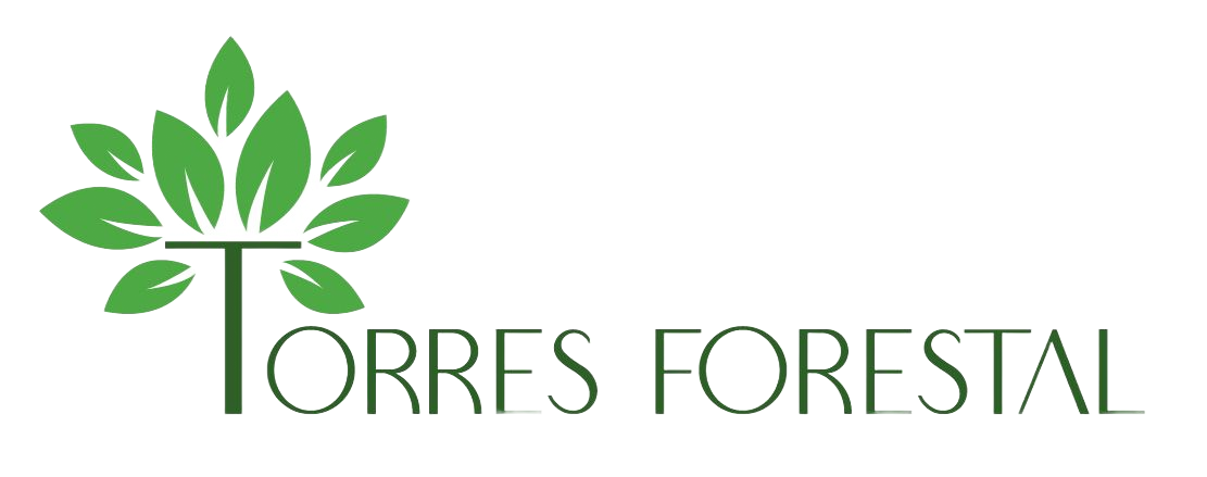 Logotipo de Torres Forestal cun dese&ntilde;o de &aacute;rbore e folla verde sobre o nome da empresa