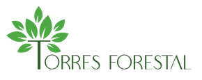 Logotipo de Torres Forestal cun dese&ntilde;o de &aacute;rbore e folla verde sobre o nome da empresa