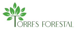Logotipo de Torres Forestal cun dese&ntilde;o de &aacute;rbore e folla verde sobre o nome da empresa
