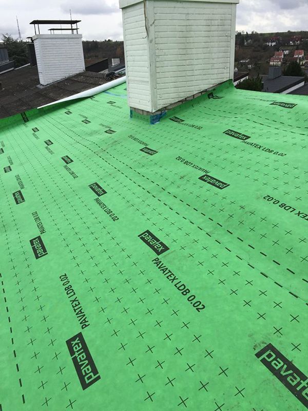 Ein Gründach mit einem Schornstein darauf. Foto von Ulrich Gerber Rund Ums Dach