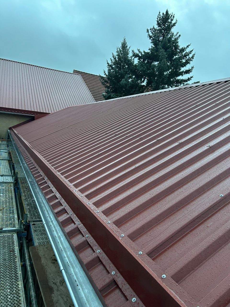 Ein rotes Dach mit einem Baum im Hintergrund. Foto von Ulrich Gerber Rund Ums Dach