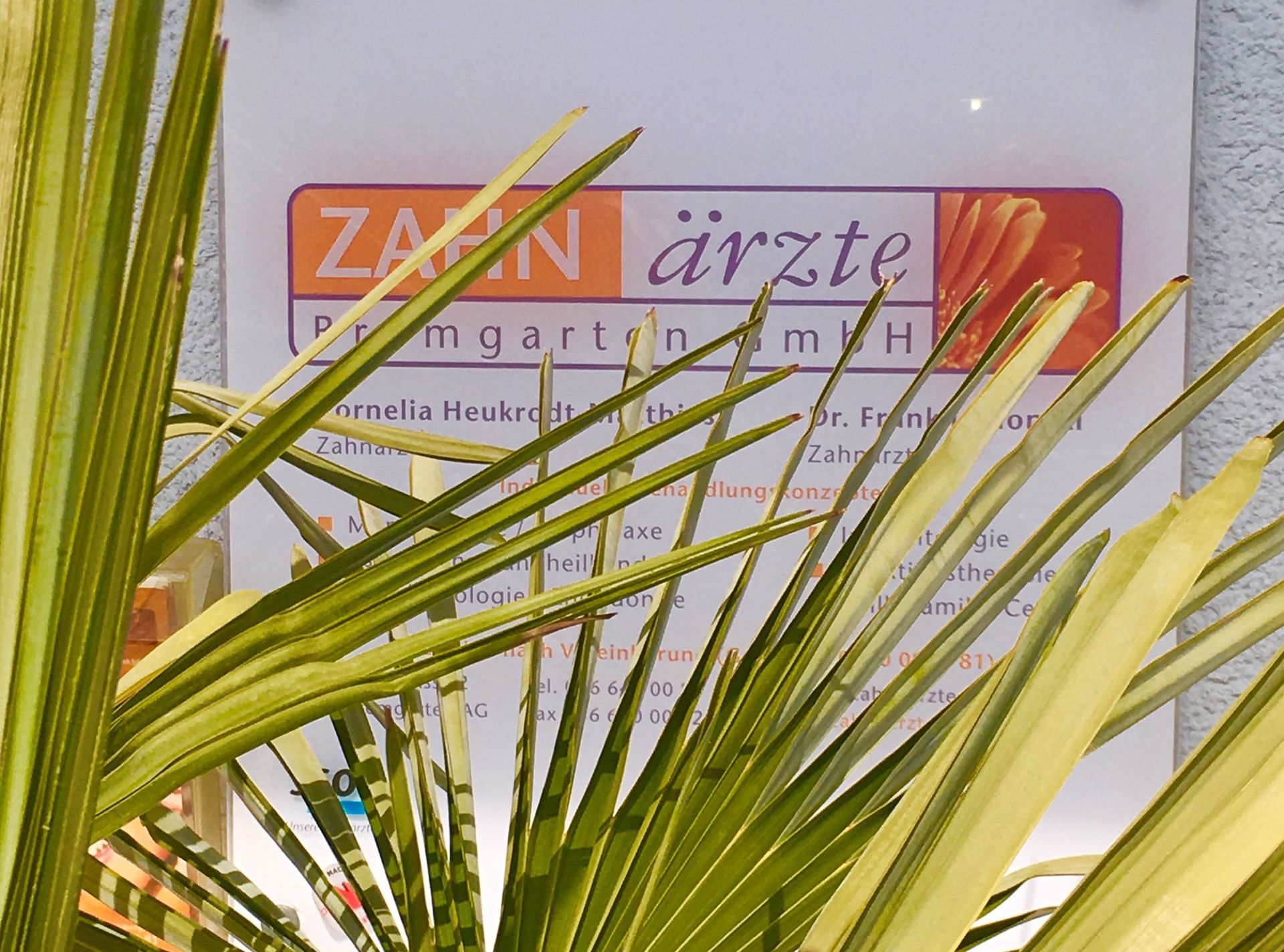 Logo - Zahnärzte Bremgarten GmbH