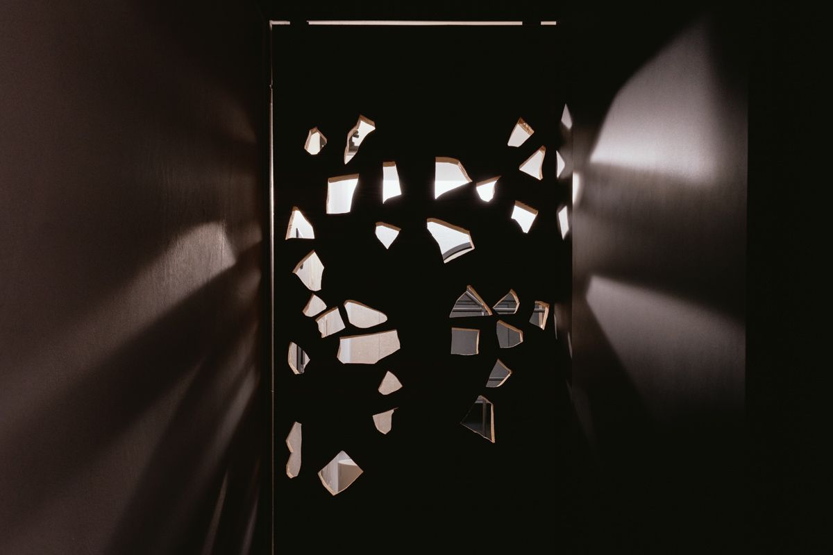 Porte et plafond en vieux bois