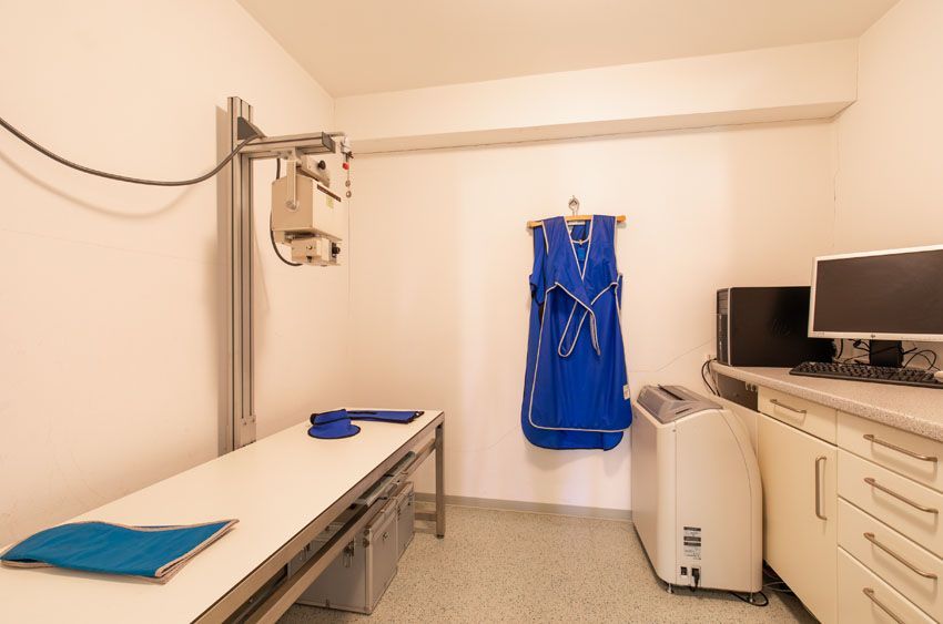 Tierärzte Niedervieland Dr. Hagens & Dr. U.Rathjens