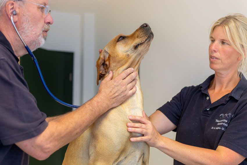 Tierärzte Niedervieland Dr. Hagens & Dr. U.Rathjens