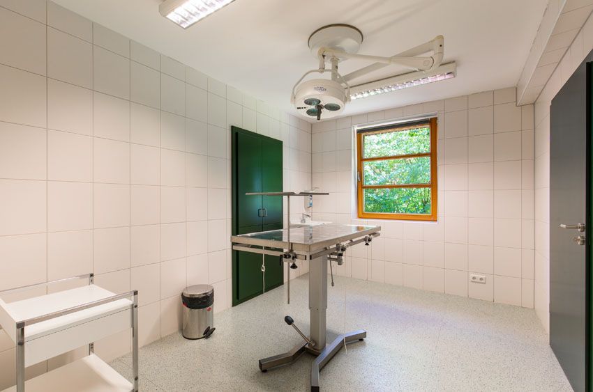 Tierärzte Niedervieland Dr. Hagens & Dr. U.Rathjens