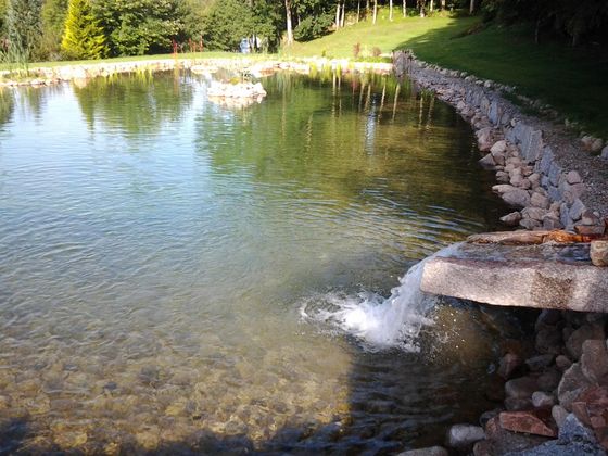 Un étang aux eaux claires, alimenté par un déversoir en pierre, est encadré par des berges rocheuses et un arrière-plan herbeux et boisé