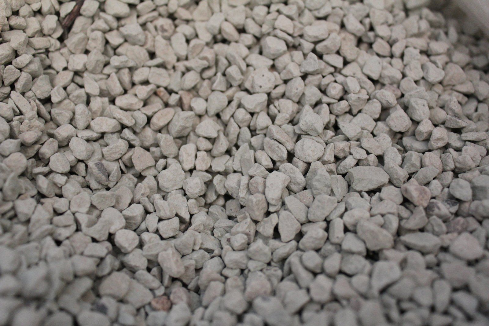 Zéolithe bassin biologique