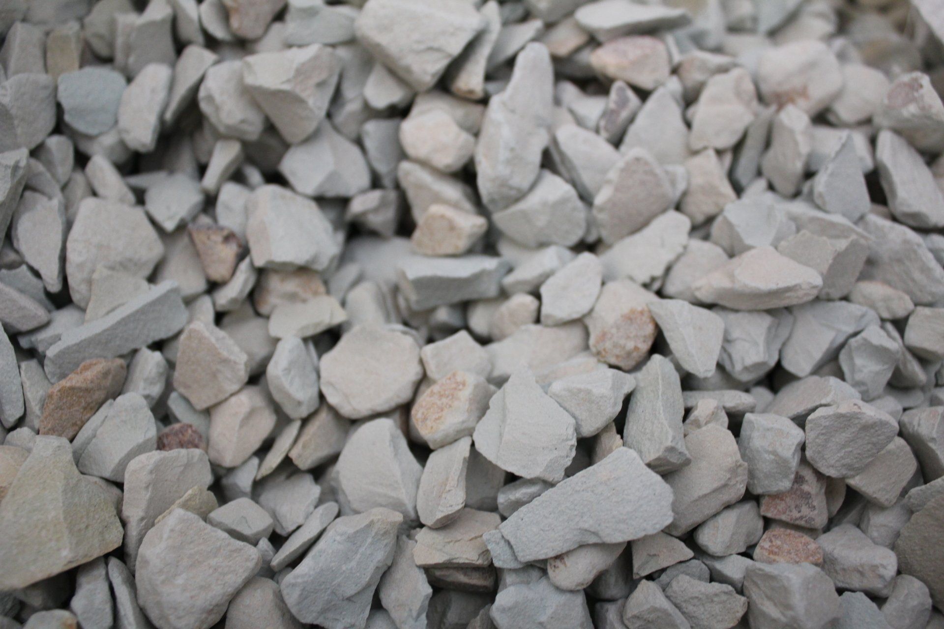 Zéolithe biologique